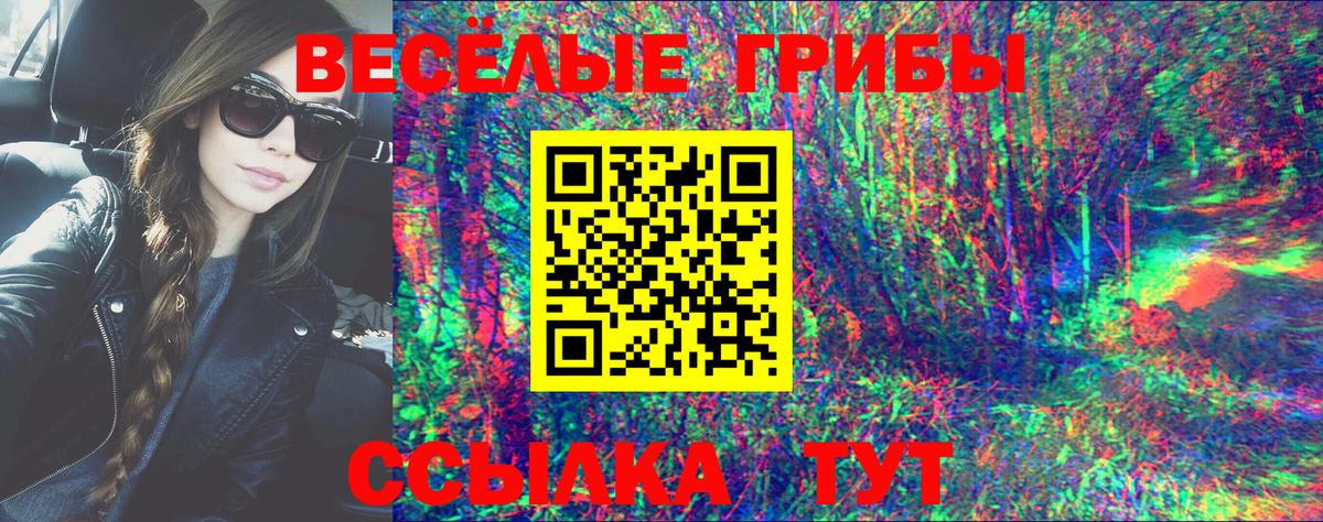 Псилоцибиновые грибы Psilocybine cubensis  Вход с VPN  Новотроицк 